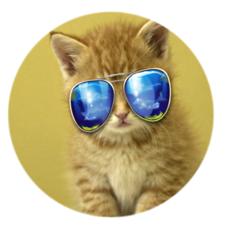 Mobilhllare i Cool katt Motiv "Cool Kitten" - Pop-stand -